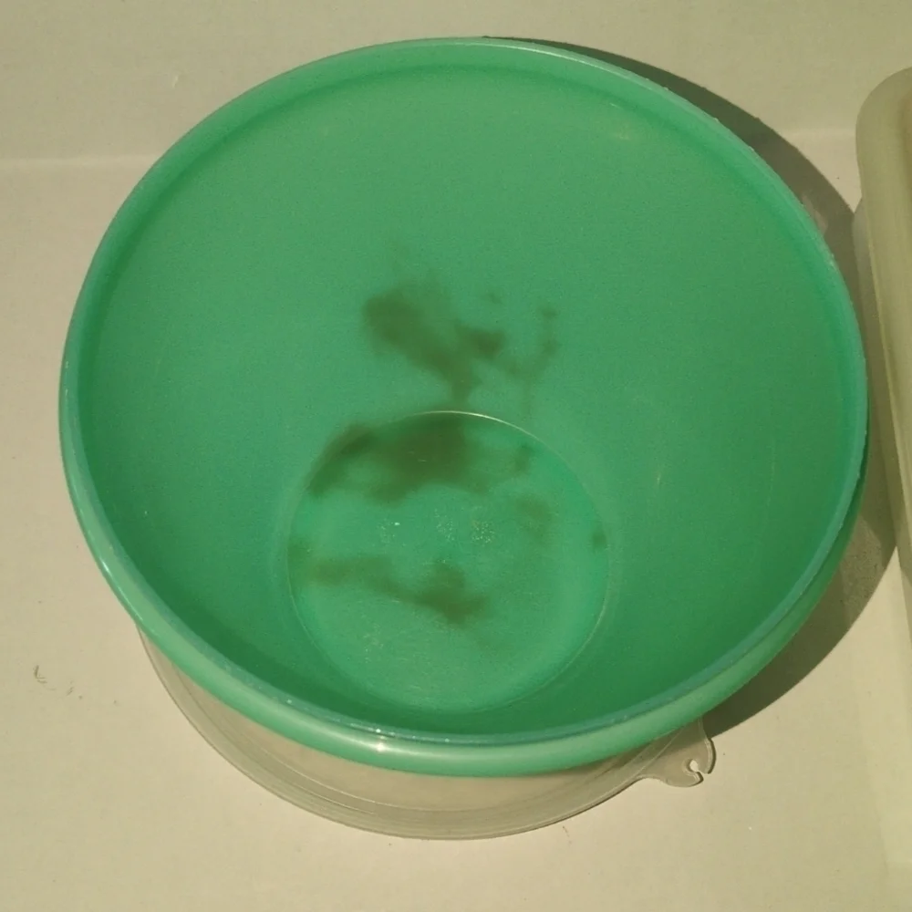 That's a Bowl Tupperware and square Tupperware storage container.
